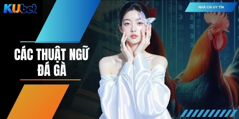Các Thuật Ngữ Đá Gà