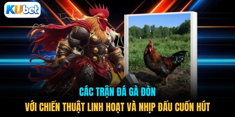 Các trận đá gà đòn với chiến thuật linh hoạt và nhịp đấu cuốn hút