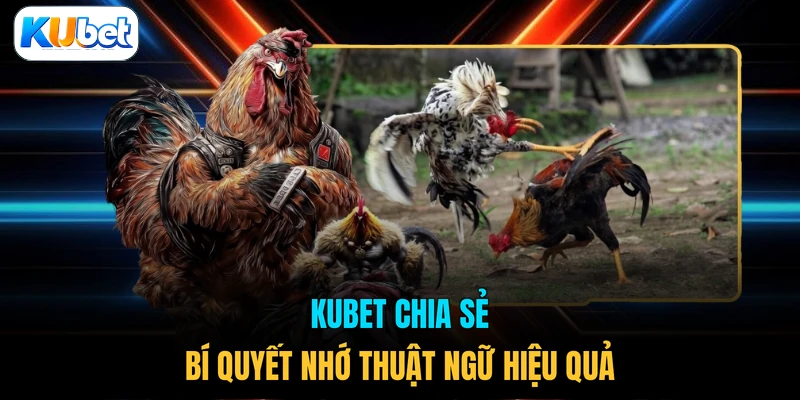 KUBET chia sẻ bí quyết nhớ thuật ngữ hiệu quả