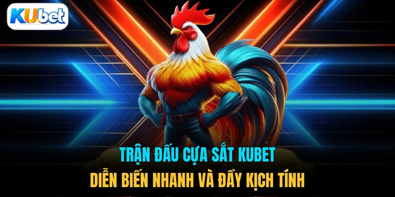Trận đấu cựa sắt KUBET diễn biến nhanh và đầy kịch tính